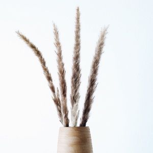 Pampas Grass Decor Fluffy